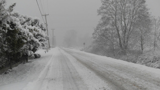 Фото: pxhere.com