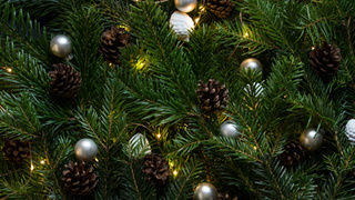 Фото: pxhere.com