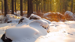 Фото: pxhere.com