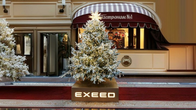 Новогодняя елка / Фото из фотобанка EXEED