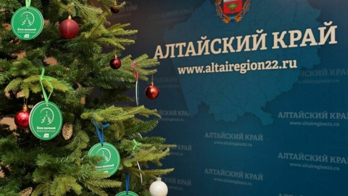  Фото: t.me/tomenko_22 