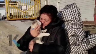 Фото: кадр видео телеканала "Катунь 24"