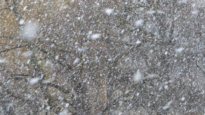 Фото: pxhere.com