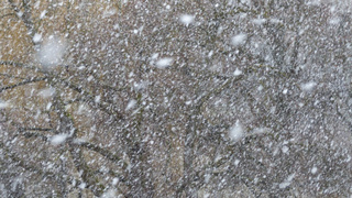 Фото: pxhere.com