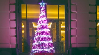 Новогодняя елка / Фото: amic.ru