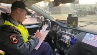 Фото: Ирина Киселёва / amic.ru