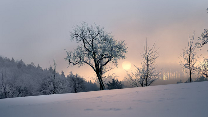 Фото: unsplash.com