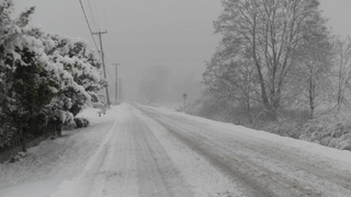 Фото: pxhere.com