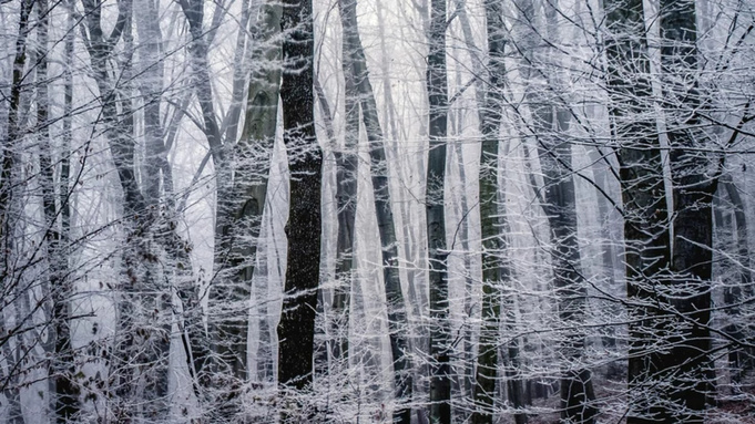 Фото: unsplash.com