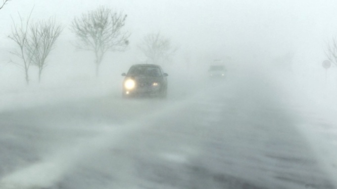 Фото: altayoriginal.ru