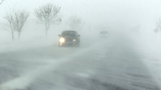 Фото: altayoriginal.ru