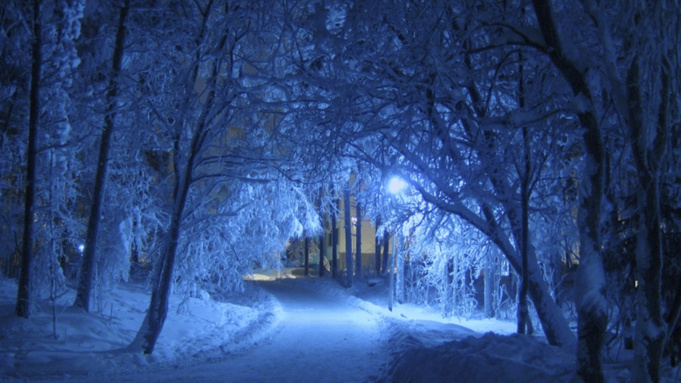 Фото: pxhere.com