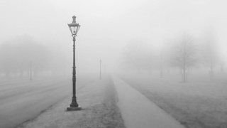 Фото: pxhere.com