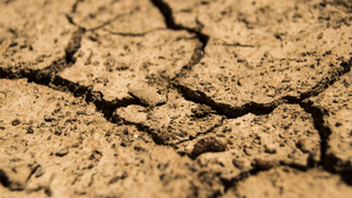 Фото: pxhere.com