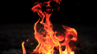 Фото: unsplash.com