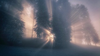 Фото: unsplash.com