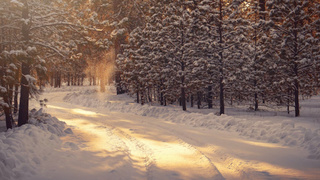 Фото: unsplash.com