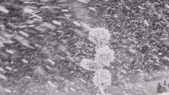 Фото: unsplash.com