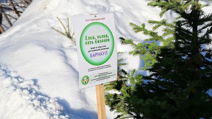 Фото: pxhere.com