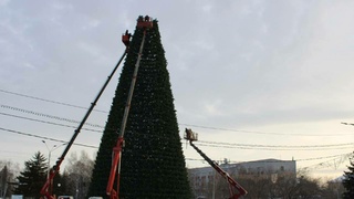 Фото: пресс-служба мэрии Барнаула