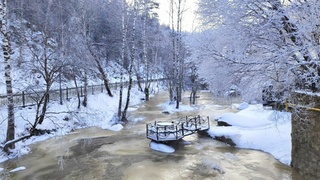 Территория санатория "БелокурЪ" / Фото предоставлено компанией