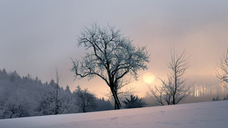 Фото: unsplash.com