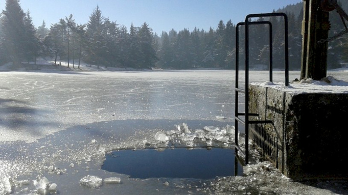 Фото: pixabay.com
