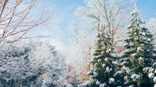 Фото: unsplash.com