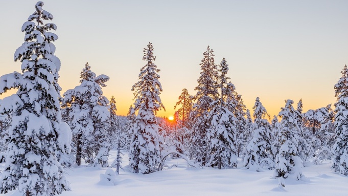 Фото: pixabay.com