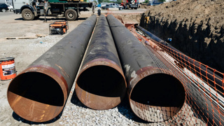 Фото: unsplash.com