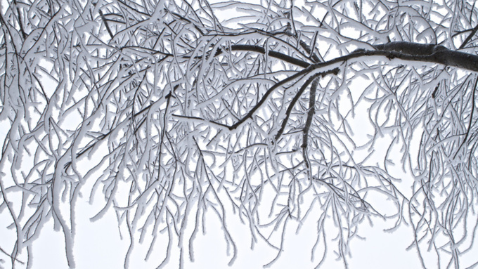 Фото: pxhere.com