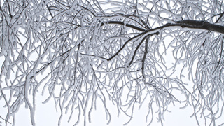 Фото: pxhere.com