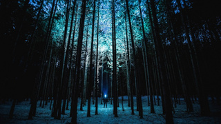 Фото: pxhere.com