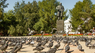 Фото: pxhere.com