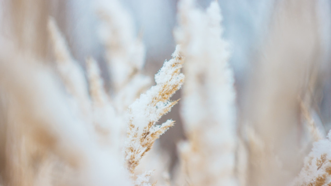 Фото: pxhere.com