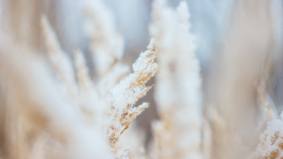 Фото: pxhere.com