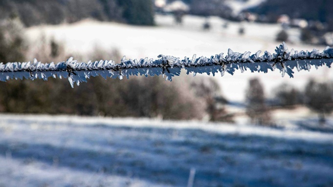 Фото: unsplash.com