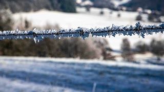 Фото: unsplash.com