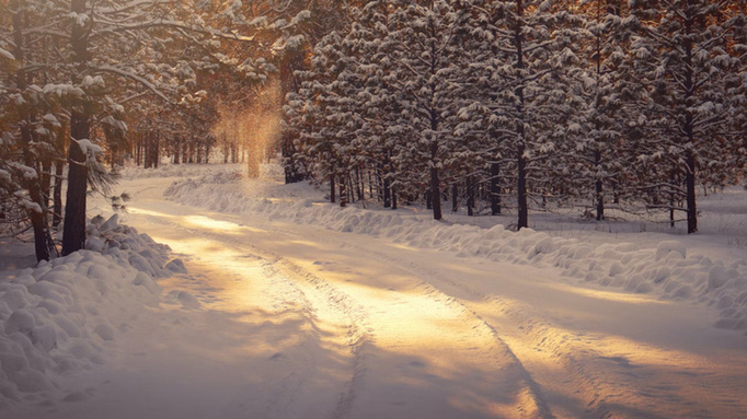 Фото: unsplash.com