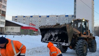 Фото: пресс-служба мэрии Барнаула