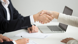 Работа. Кадры / Фото: yanalya / Freepik