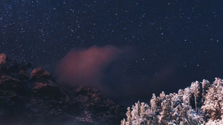 Звездное небо, горы, заснеженный лес / Фото: unsplash.com