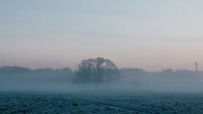 Утреннее зимнее поле / Фото: unsplash.com