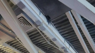 Возгорание проводки в спорткомплексе "Победа" / Фото: МЧС Алтайского края