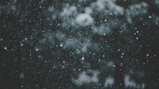 28 января на Алтае будет небольшой снег / Фото: unsplash.com
