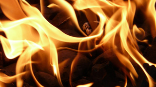 Фото: https://pxhere.com/ru/photo/1154995