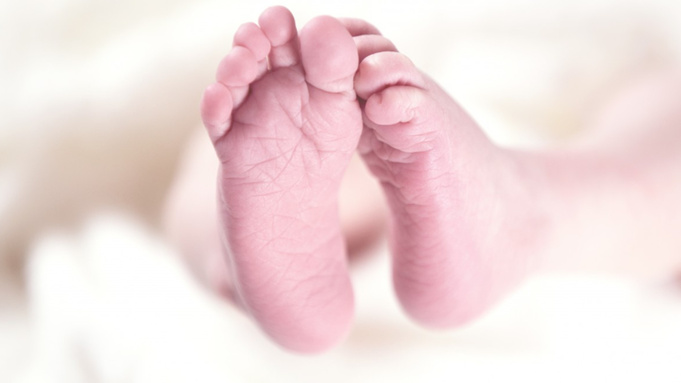 Фото: https://pxhere.com/ru/photo/1344990