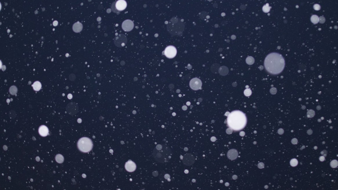 Фото: https://pxhere.com/ru/photo/687662