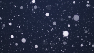 Фото: https://pxhere.com/ru/photo/687662