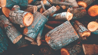 Поленья, сваленные в кучу / Фото: unsplash.com